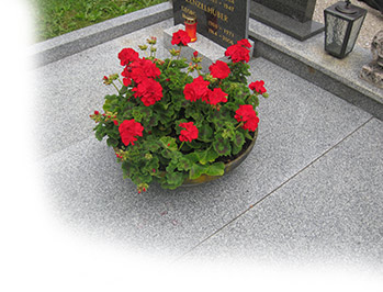 Gärtnerei Pichler / Grabpflege
